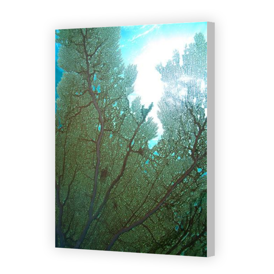 Thumbnail for Canvas - Coloured Canvas Wrap