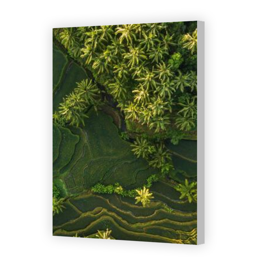 Thumbnail for Canvas - Coloured Canvas Wrap