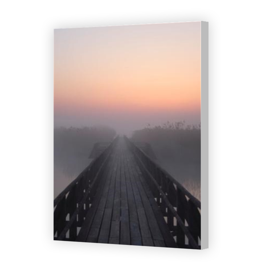 Thumbnail for Canvas - Coloured Canvas Wrap