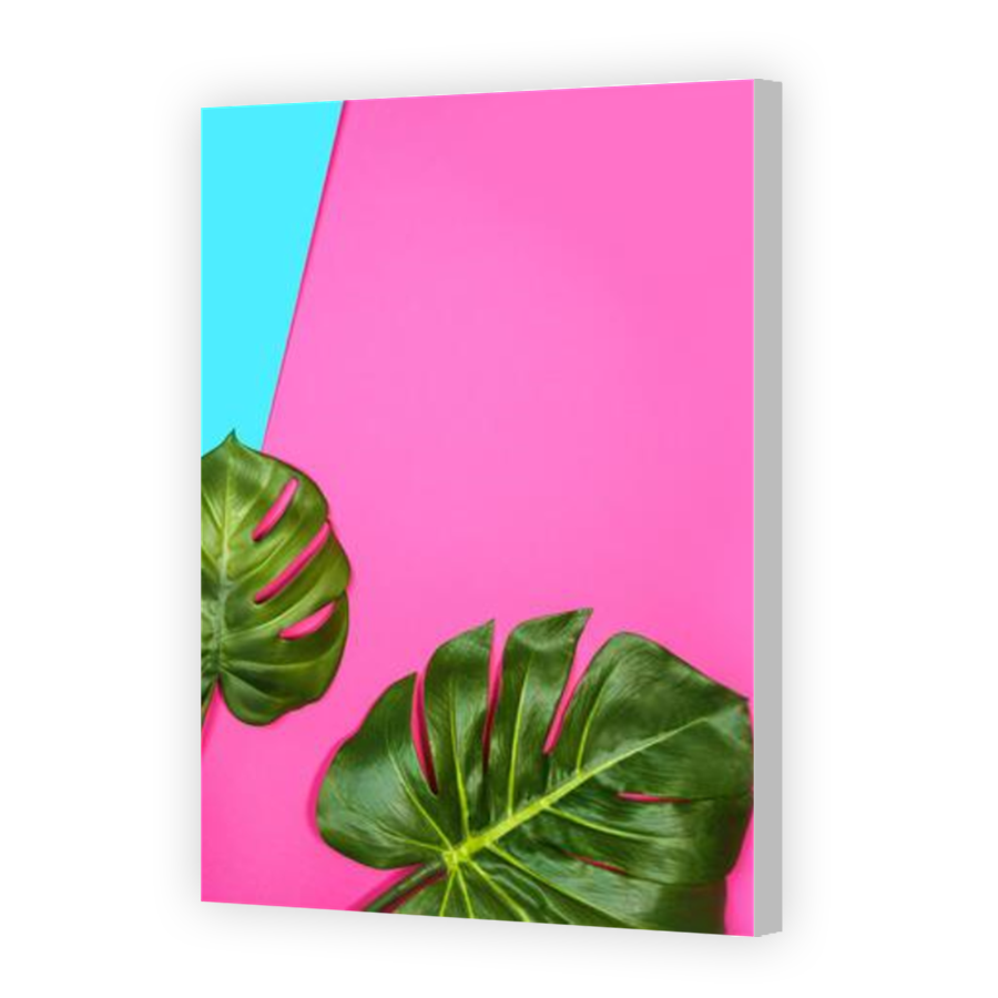 Thumbnail for Canvas - Coloured Canvas Wrap