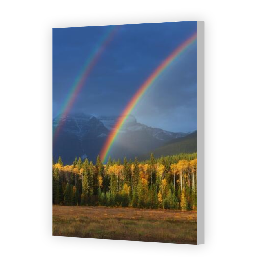 Thumbnail for Canvas - Coloured Canvas Wrap