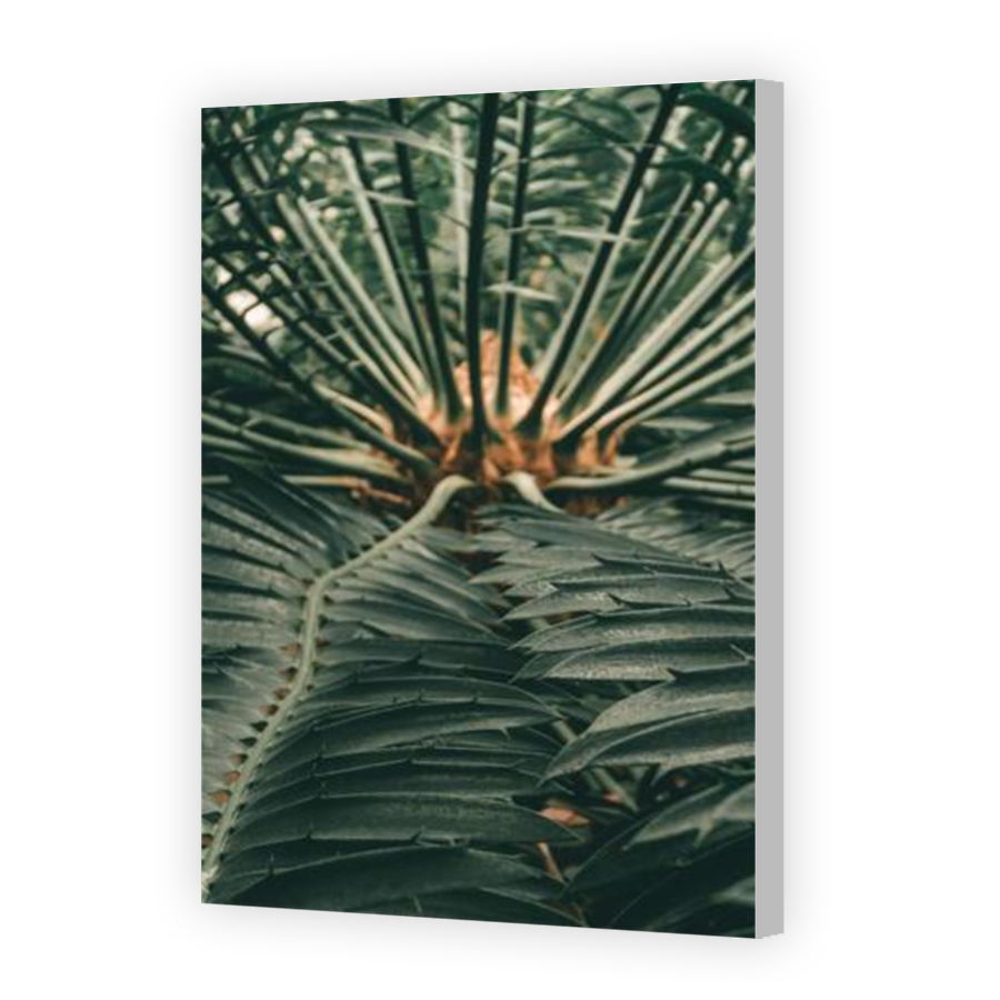 Thumbnail for Canvas - Coloured Canvas Wrap