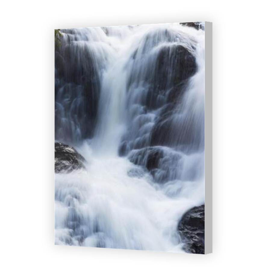 Thumbnail for Canvas - Coloured Canvas Wrap