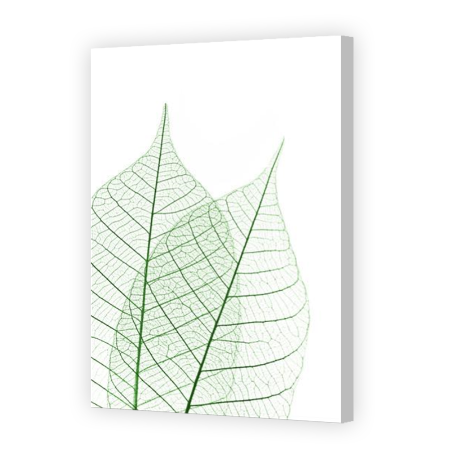 Thumbnail for Canvas - Coloured Canvas Wrap