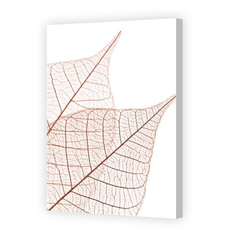 Thumbnail for Canvas - Coloured Canvas Wrap