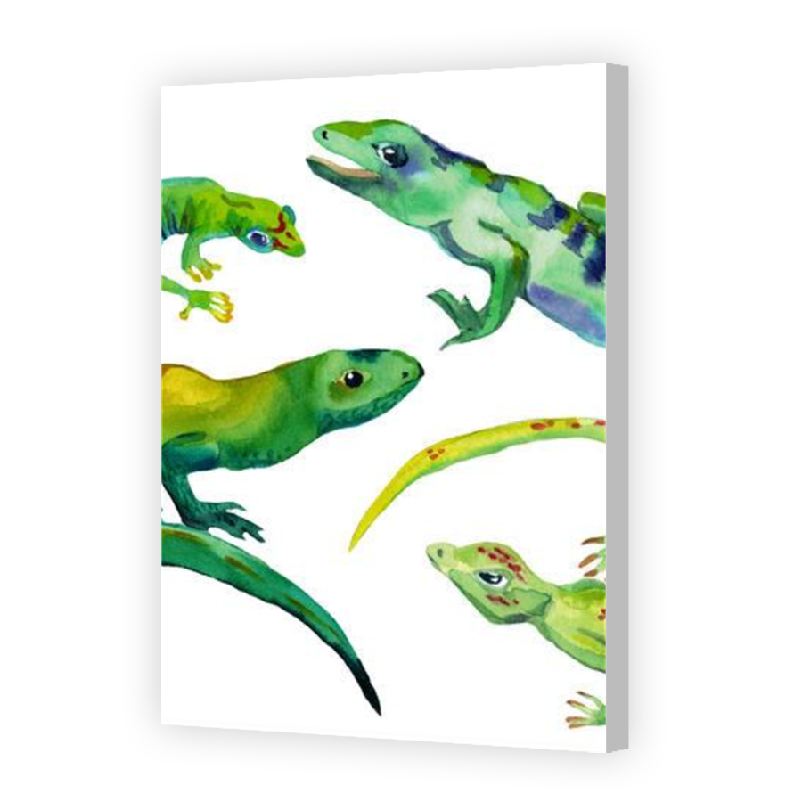 Thumbnail for Canvas - Coloured Canvas Wrap