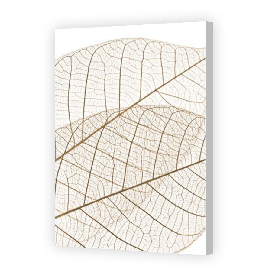 Thumbnail for Canvas - Coloured Canvas Wrap