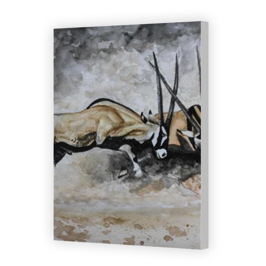 Thumbnail for Canvas - Coloured Canvas Wrap