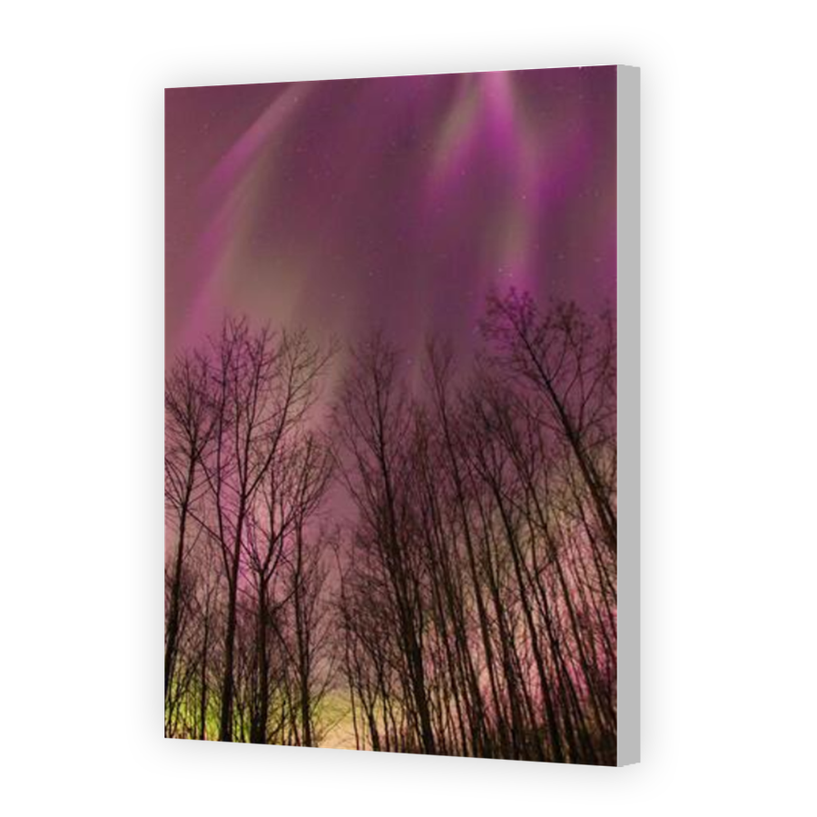 Thumbnail for Canvas - Coloured Canvas Wrap
