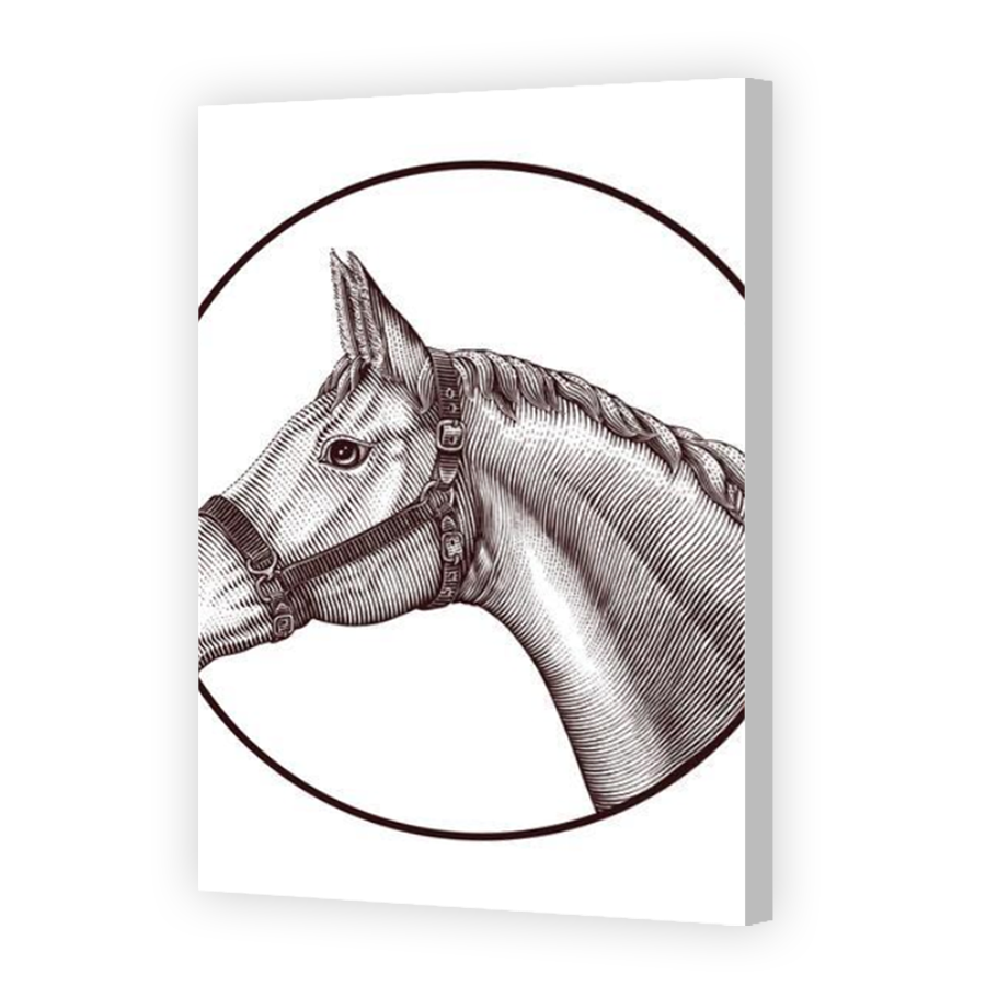 Thumbnail for Canvas - Coloured Canvas Wrap