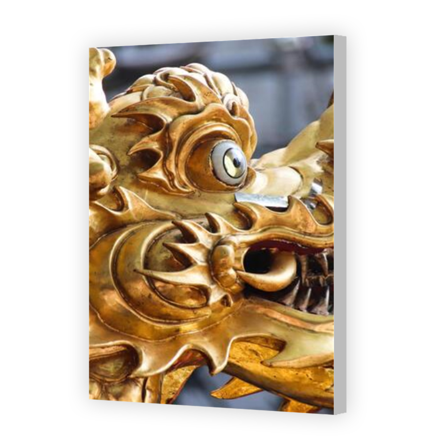 Thumbnail for Canvas - Coloured Canvas Wrap