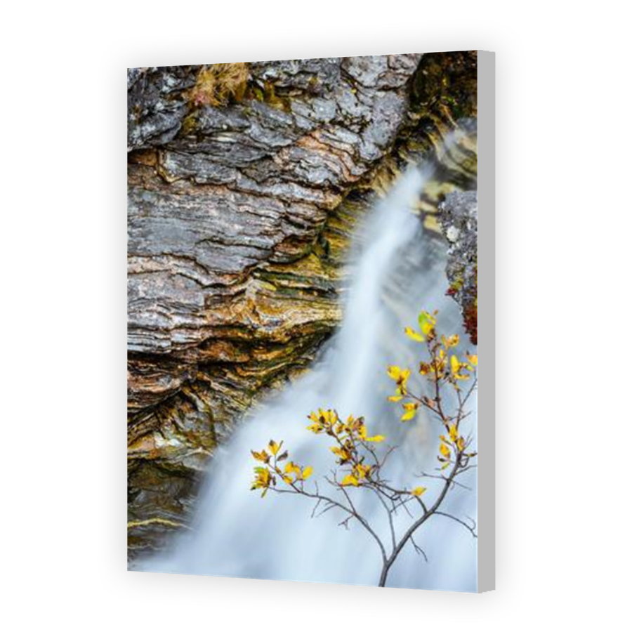 Thumbnail for Canvas - Coloured Canvas Wrap