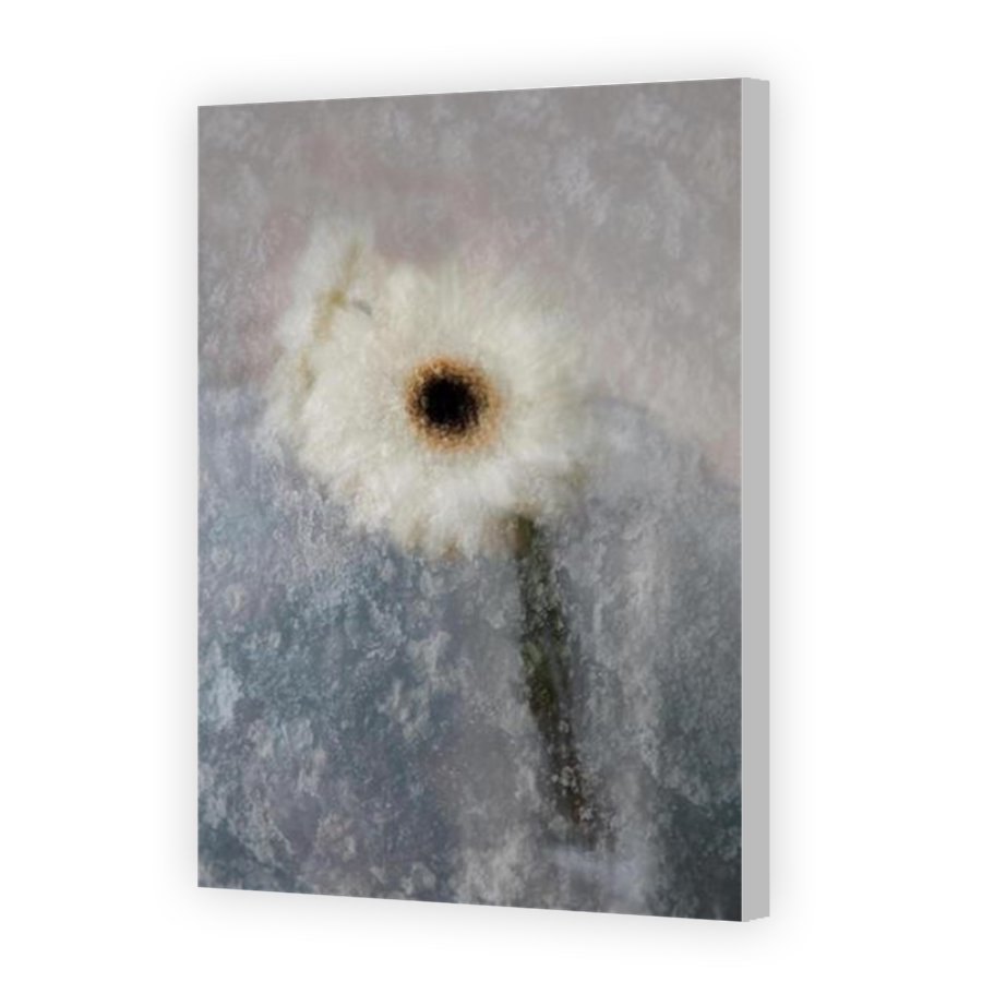 Thumbnail for Canvas - Coloured Canvas Wrap