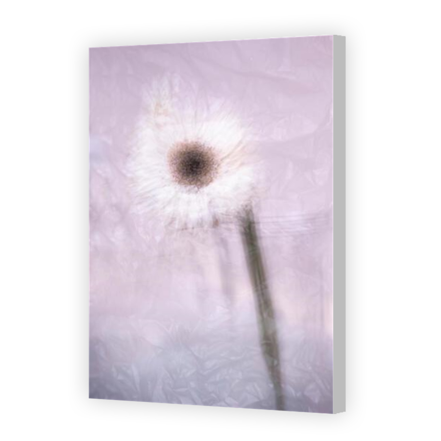 Thumbnail for Canvas - Coloured Canvas Wrap