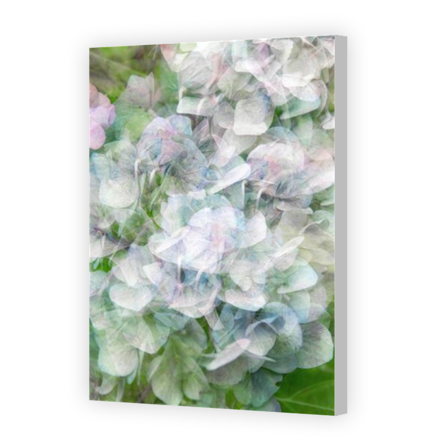 Thumbnail for Canvas - Coloured Canvas Wrap