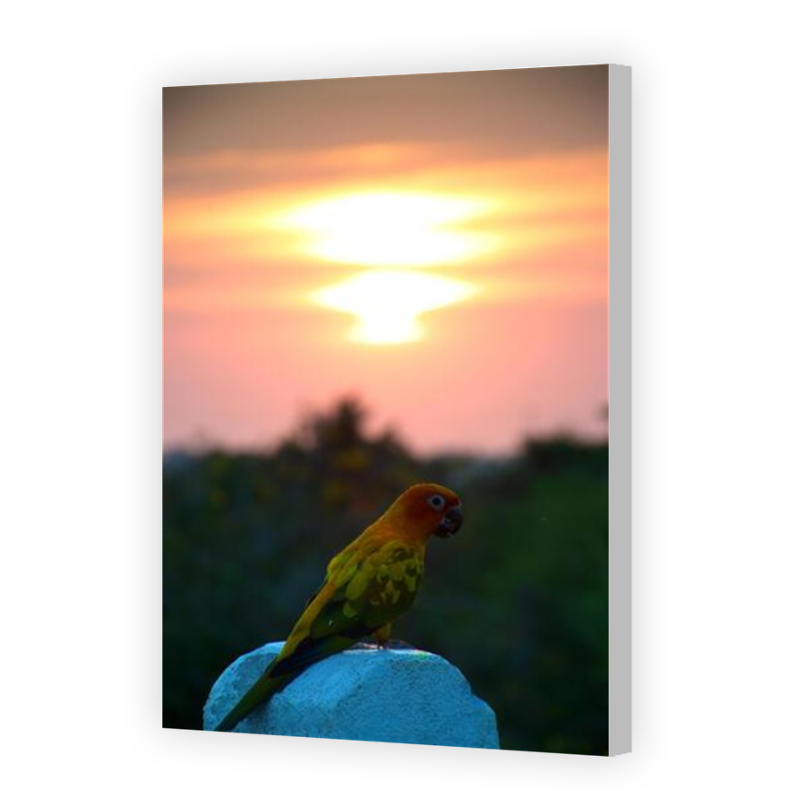 Thumbnail for Canvas - Coloured Canvas Wrap