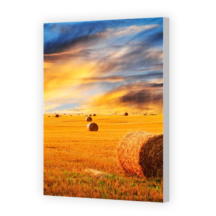 Thumbnail for Canvas - Coloured Canvas Wrap