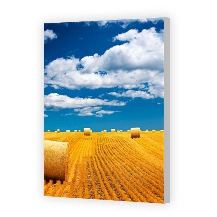 Thumbnail for Canvas - Coloured Canvas Wrap