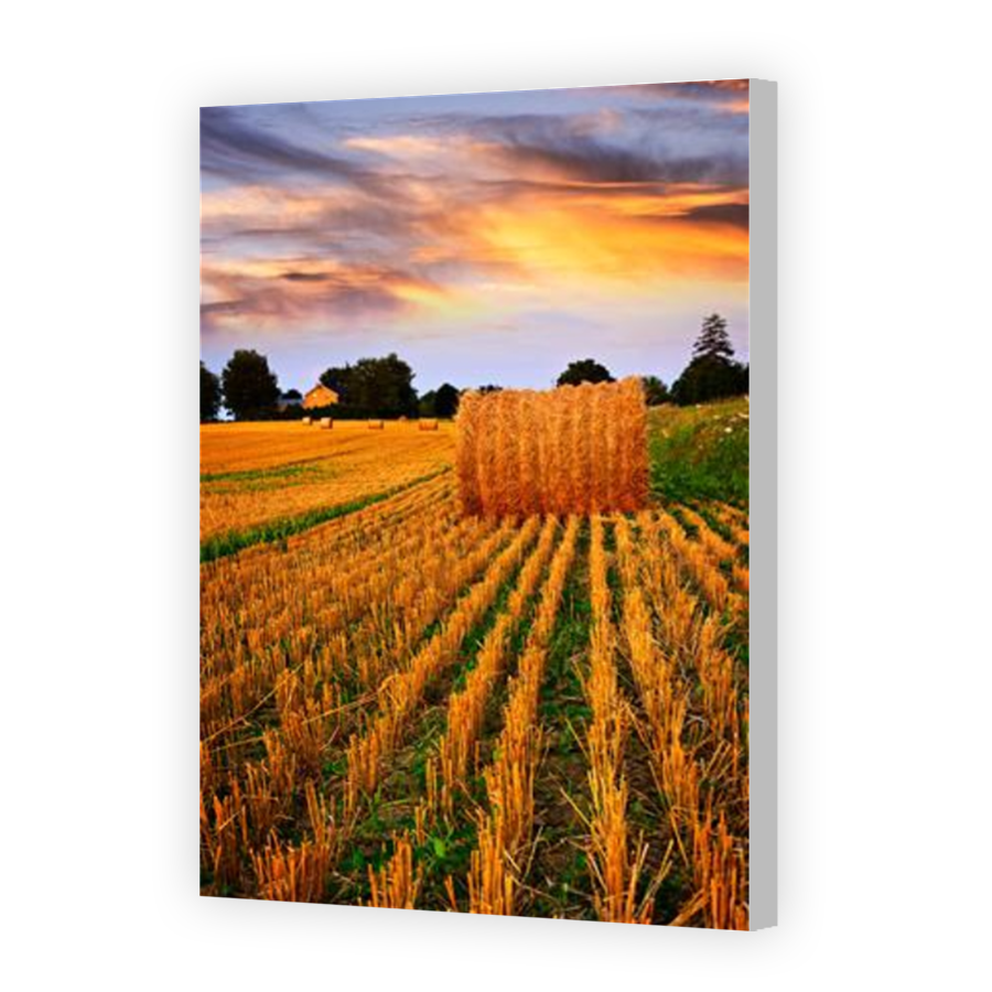 Thumbnail for Canvas - Coloured Canvas Wrap