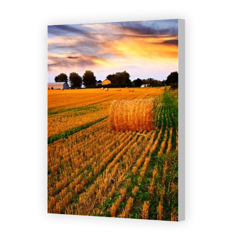 Thumbnail for Canvas - Coloured Canvas Wrap