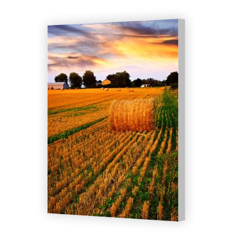 Thumbnail for Canvas - Coloured Canvas Wrap