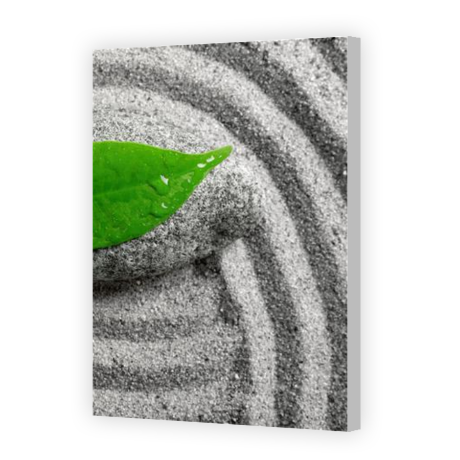 Thumbnail for Canvas - Coloured Canvas Wrap