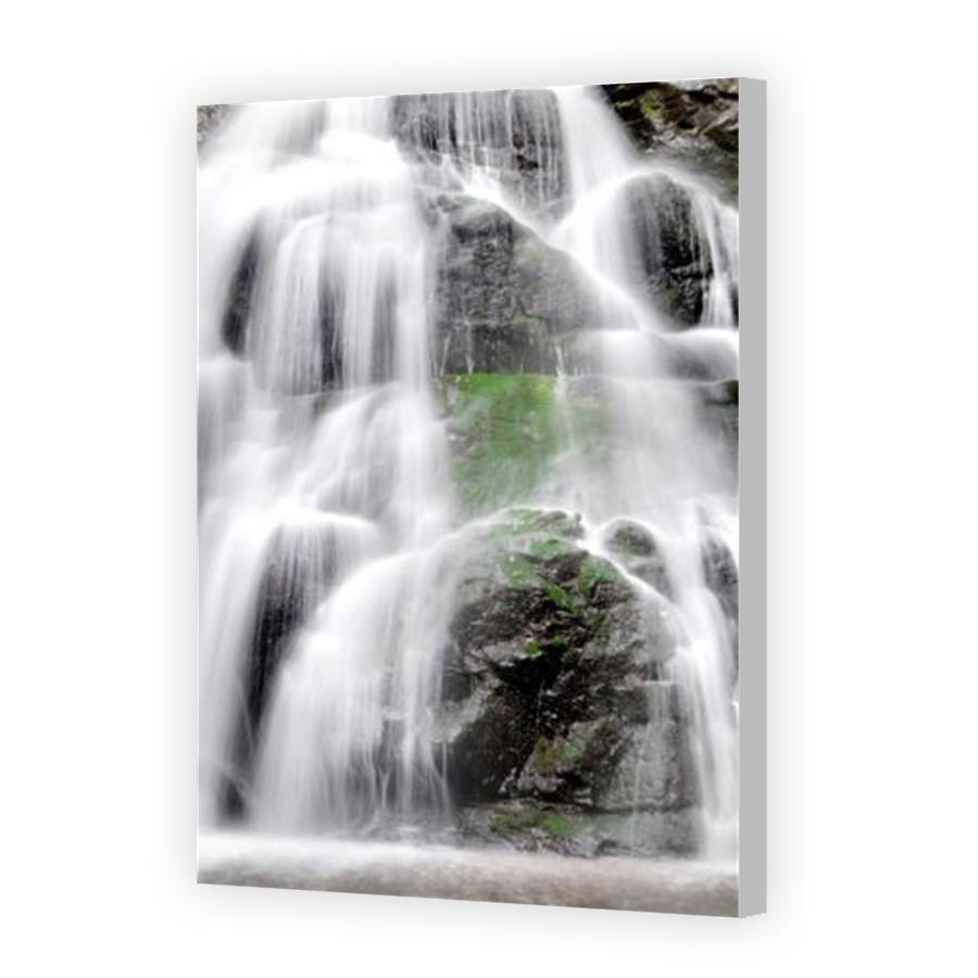 Thumbnail for Canvas - Coloured Canvas Wrap