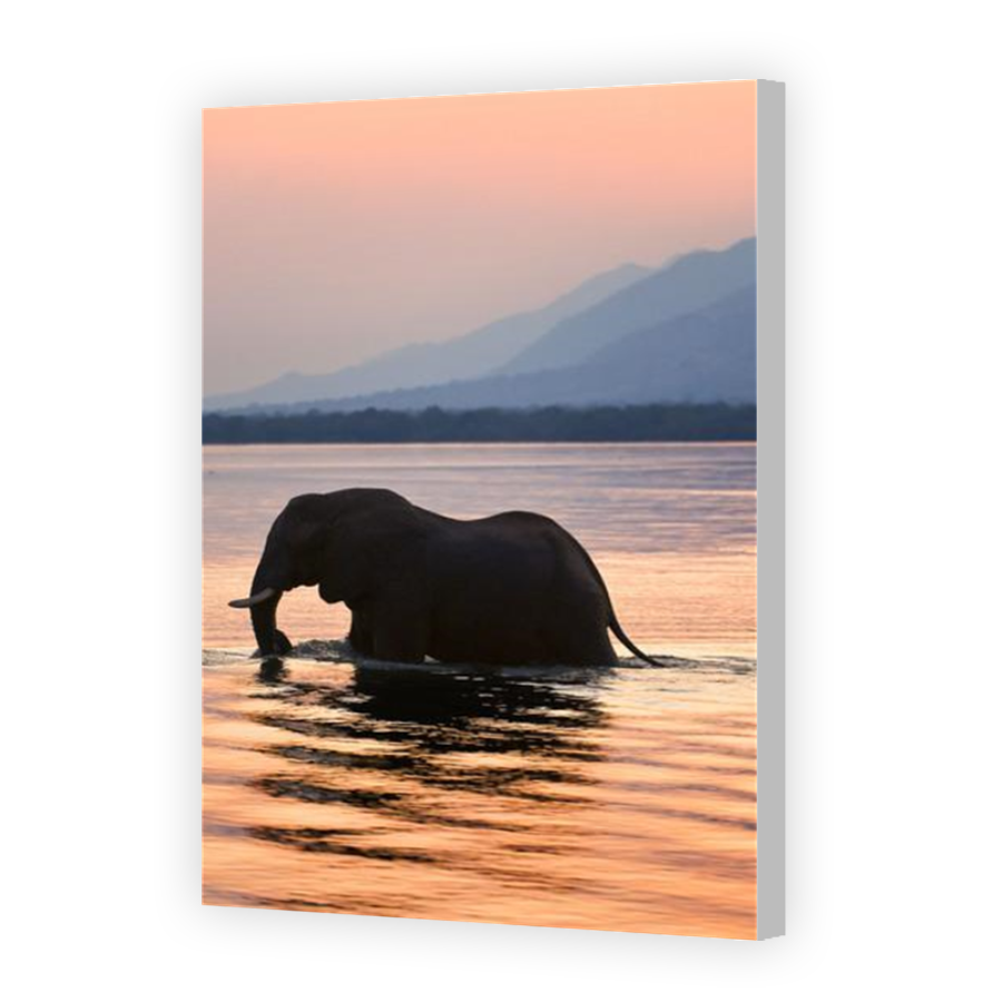 Thumbnail for Canvas - Coloured Canvas Wrap