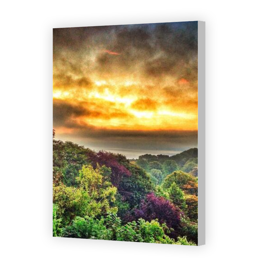 Thumbnail for Canvas - Coloured Canvas Wrap