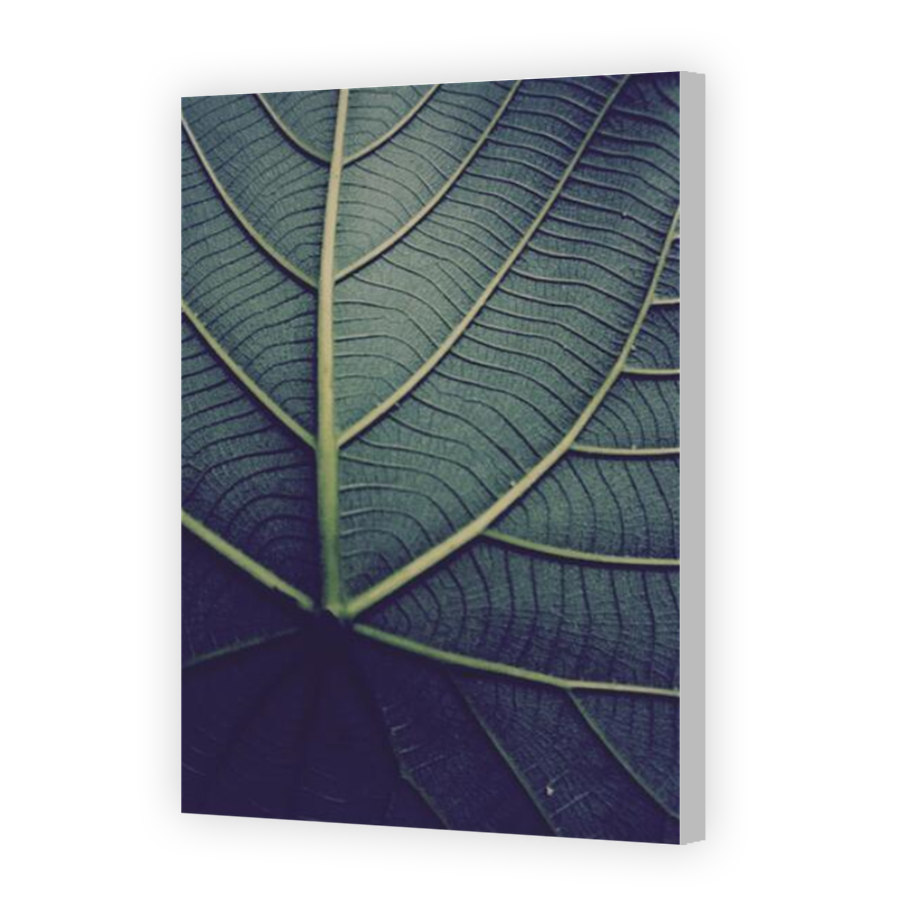 Thumbnail for Canvas - Coloured Canvas Wrap