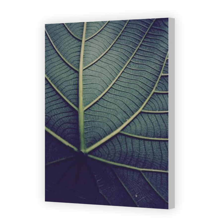 Thumbnail for Canvas - Coloured Canvas Wrap