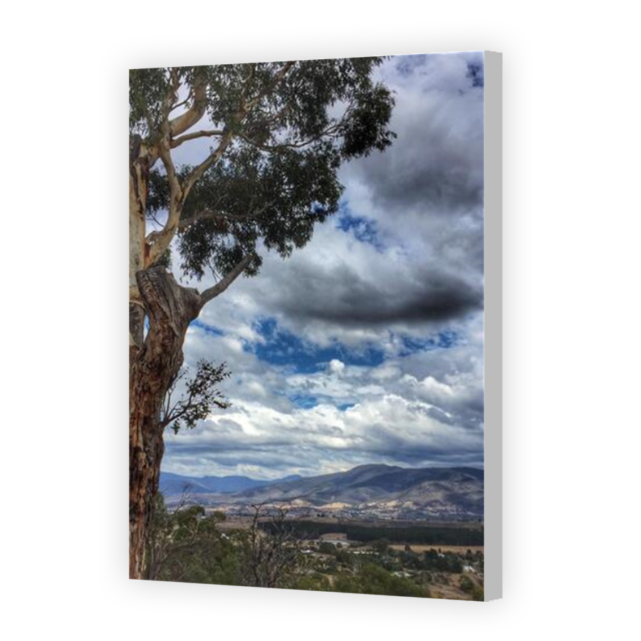 Thumbnail for Canvas - Coloured Canvas Wrap