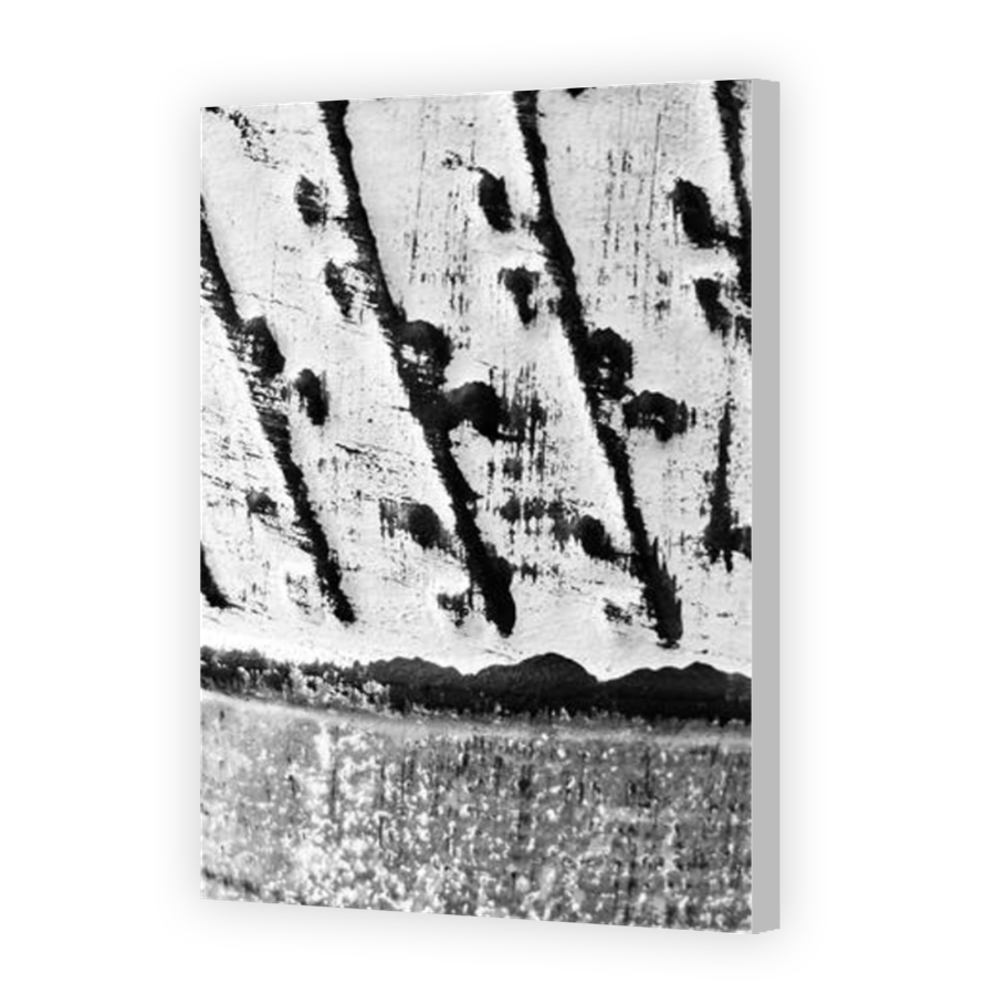 Thumbnail for Canvas - Coloured Canvas Wrap