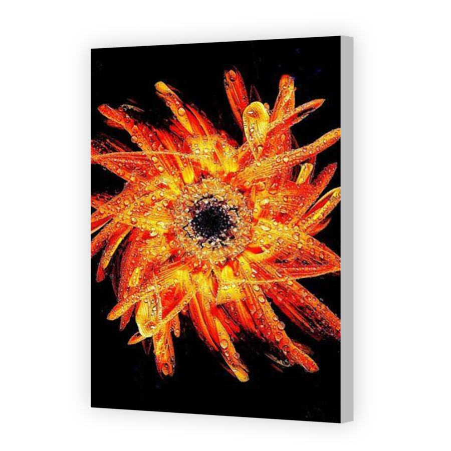 Thumbnail for Canvas - Coloured Canvas Wrap
