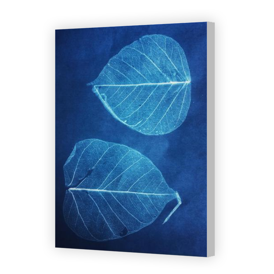 Thumbnail for Canvas - Coloured Canvas Wrap