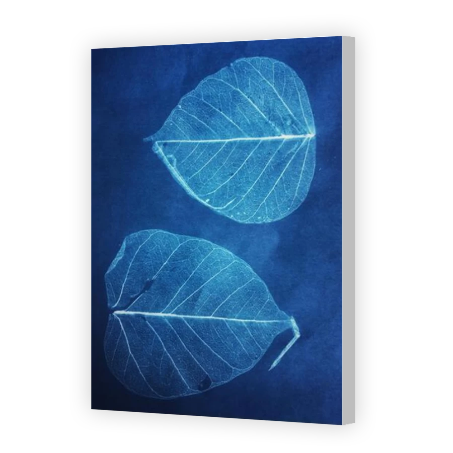 Thumbnail for Canvas - Coloured Canvas Wrap