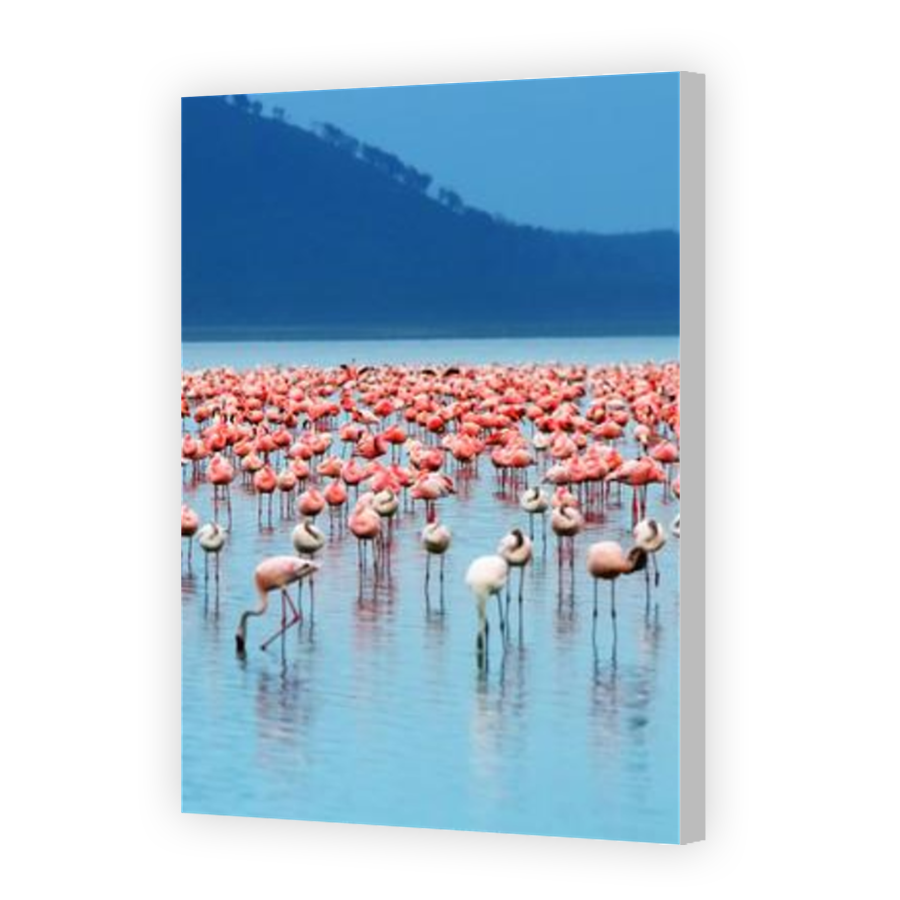 Thumbnail for Canvas - Coloured Canvas Wrap