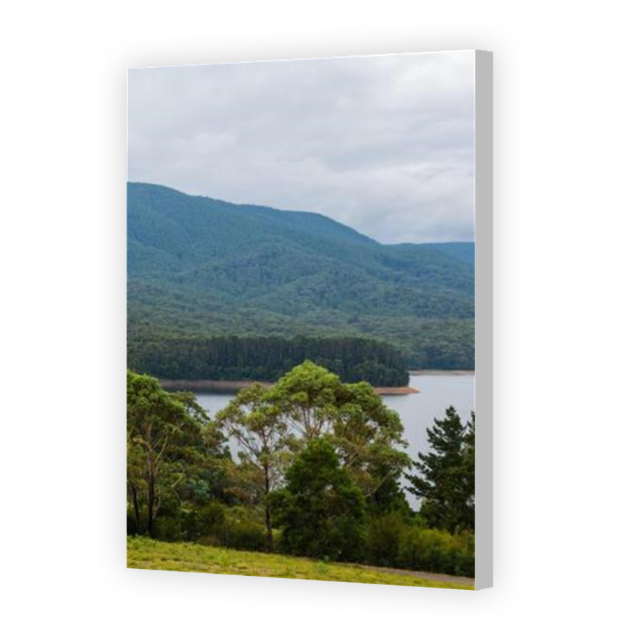 Thumbnail for Canvas - Coloured Canvas Wrap