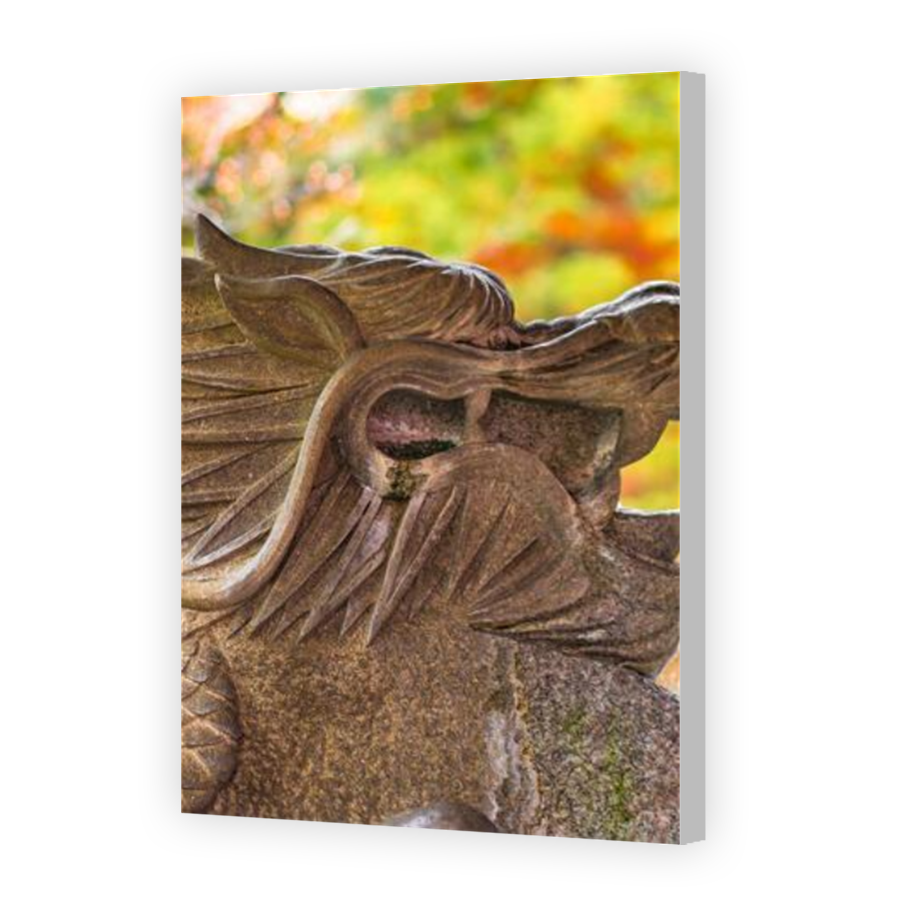 Thumbnail for Canvas - Coloured Canvas Wrap