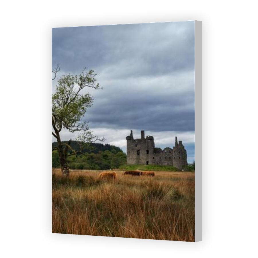 Thumbnail for Canvas - Coloured Canvas Wrap