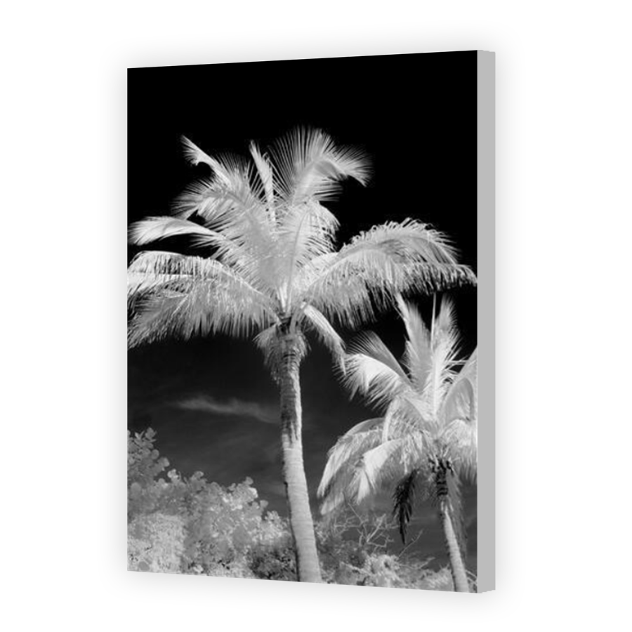 Thumbnail for Canvas - Coloured Canvas Wrap