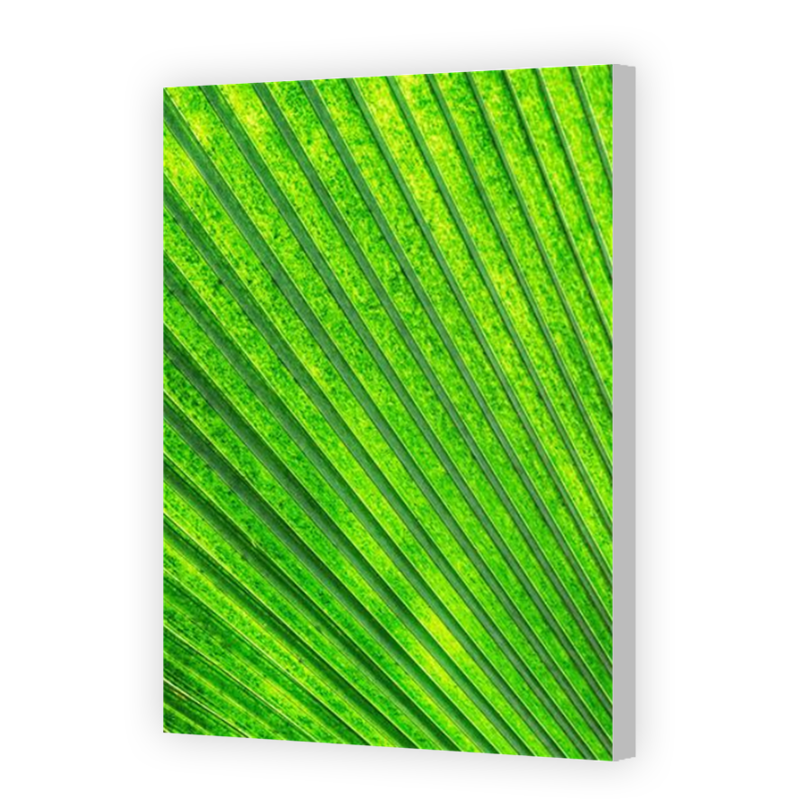 Thumbnail for Canvas - Coloured Canvas Wrap