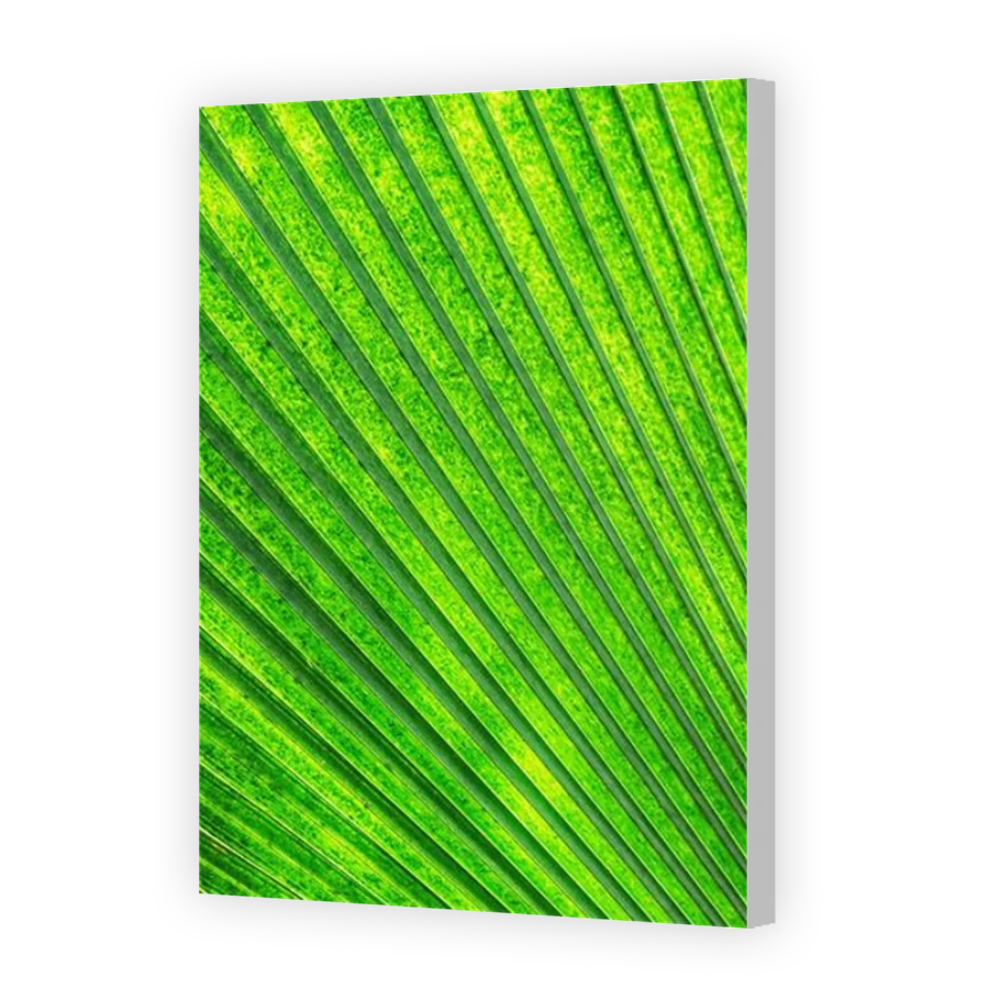 Thumbnail for Canvas - Coloured Canvas Wrap