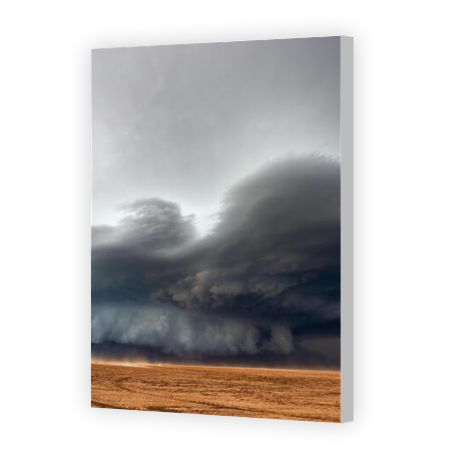 Thumbnail for Canvas - Coloured Canvas Wrap