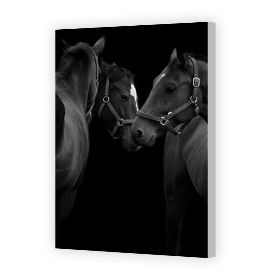 Thumbnail for Canvas - Coloured Canvas Wrap
