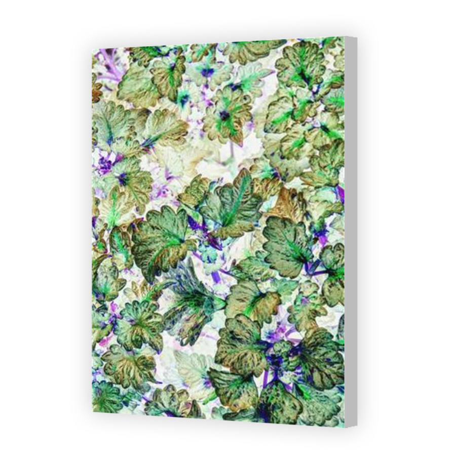 Thumbnail for Canvas - Coloured Canvas Wrap