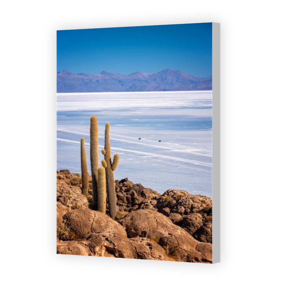 Thumbnail for Canvas - Coloured Canvas Wrap
