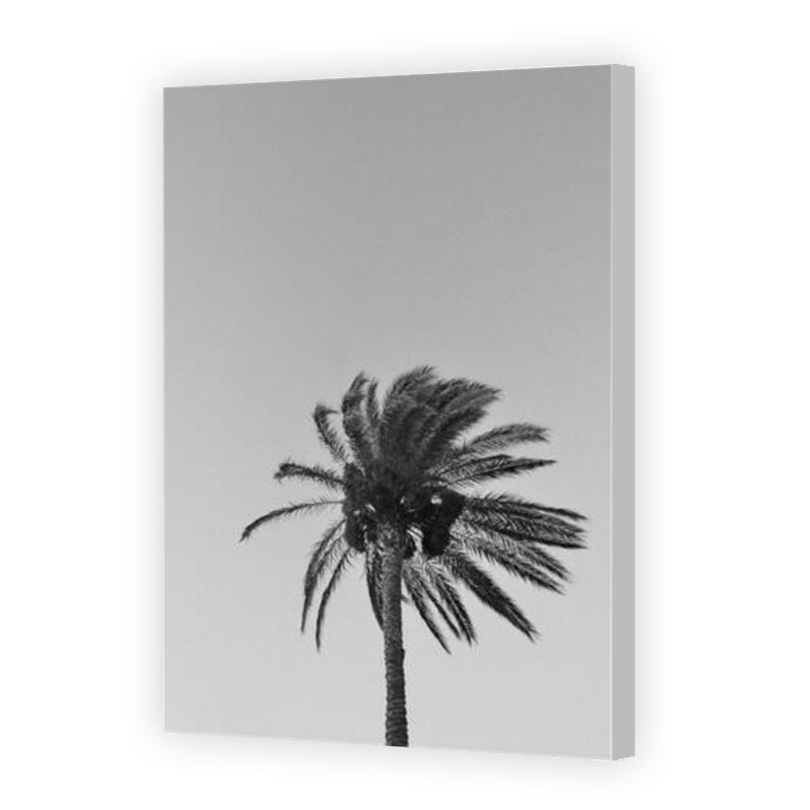 Thumbnail for Canvas - Coloured Canvas Wrap
