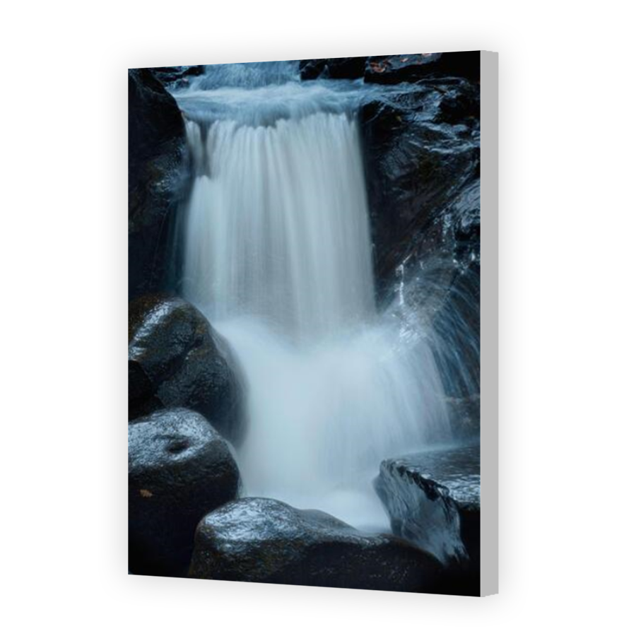Thumbnail for Canvas - Coloured Canvas Wrap