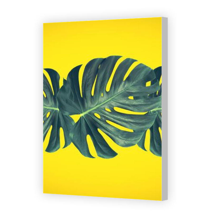Thumbnail for Canvas - Coloured Canvas Wrap